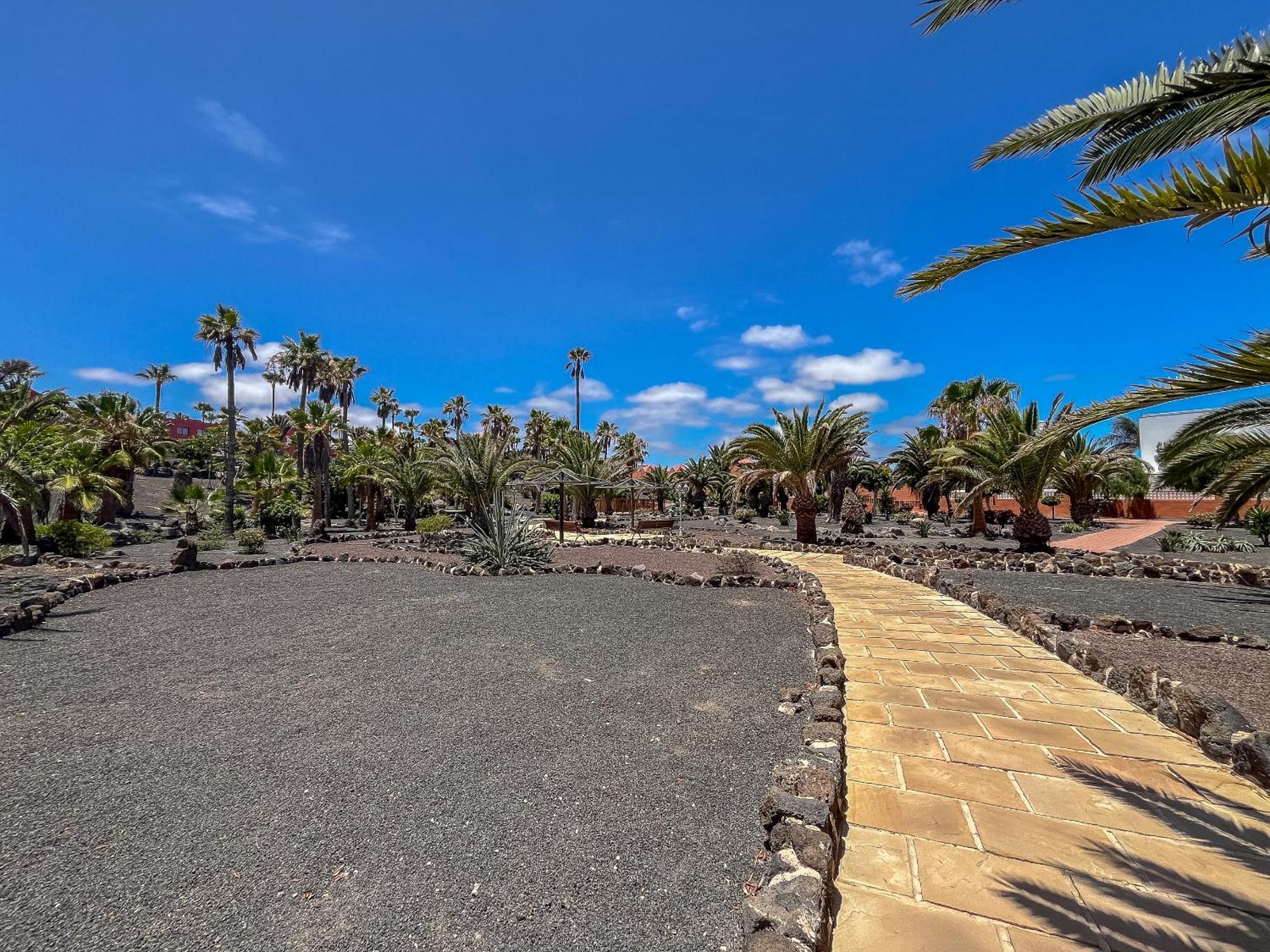 Apartamentos Oasis Royal Corralejo F314 Exterior foto